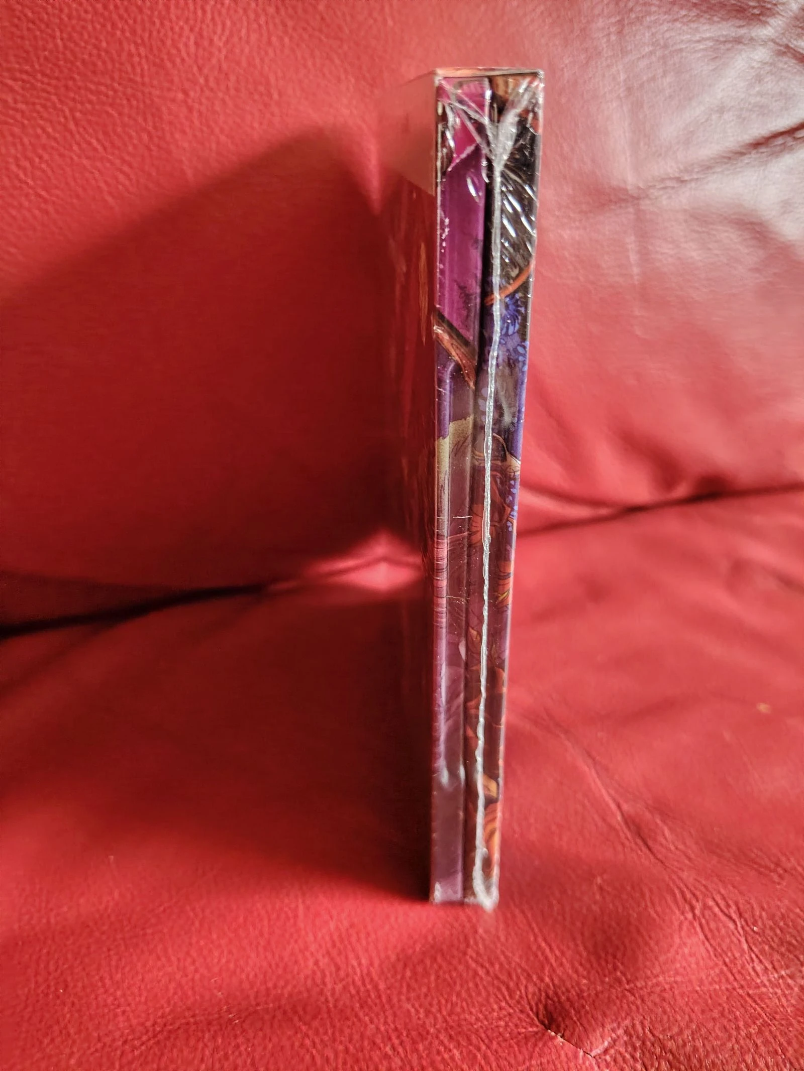 Steelbook Coraline 4k blu ray – photo 4